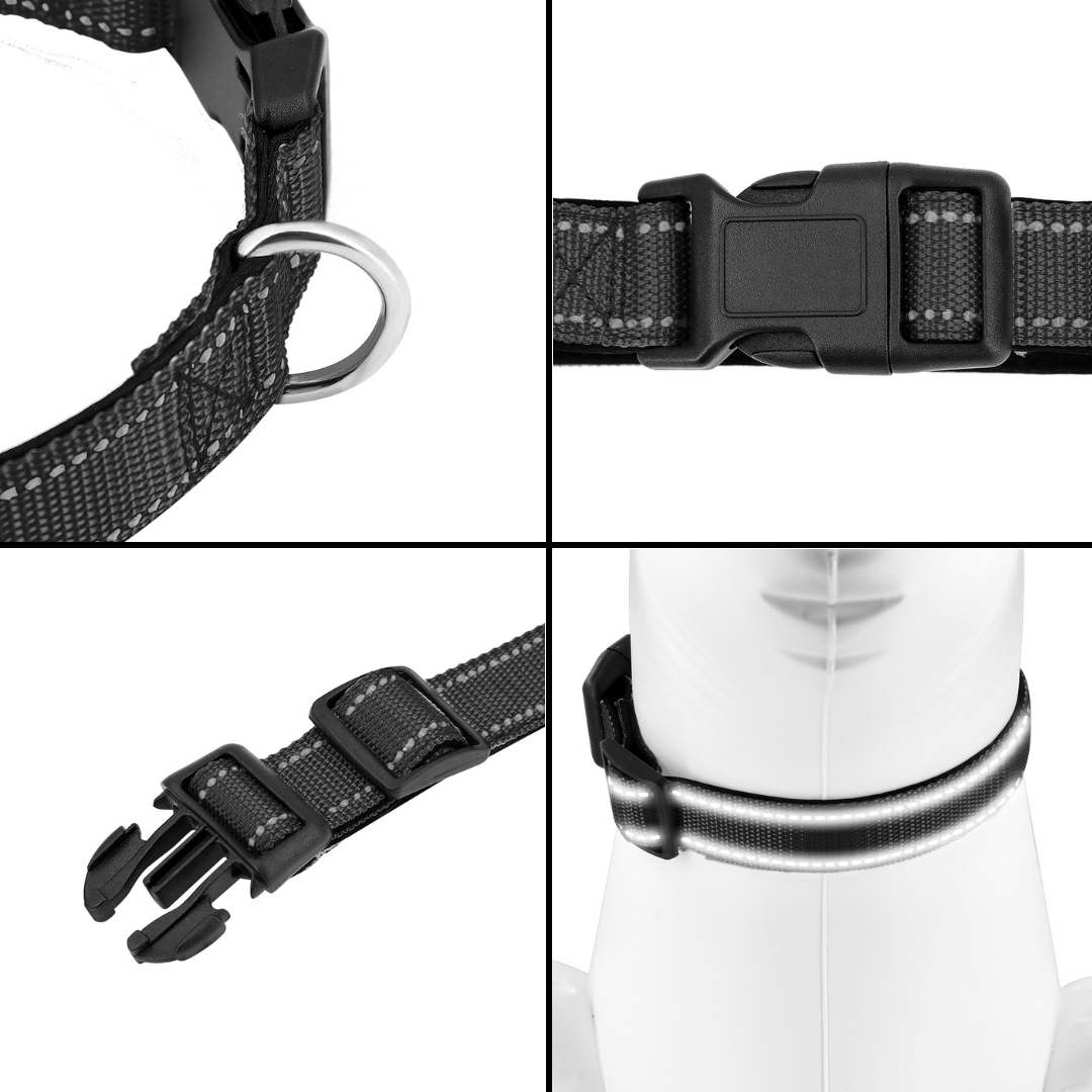 Reflective Dog Collar with Quick-Lock Buckle for Night Walks