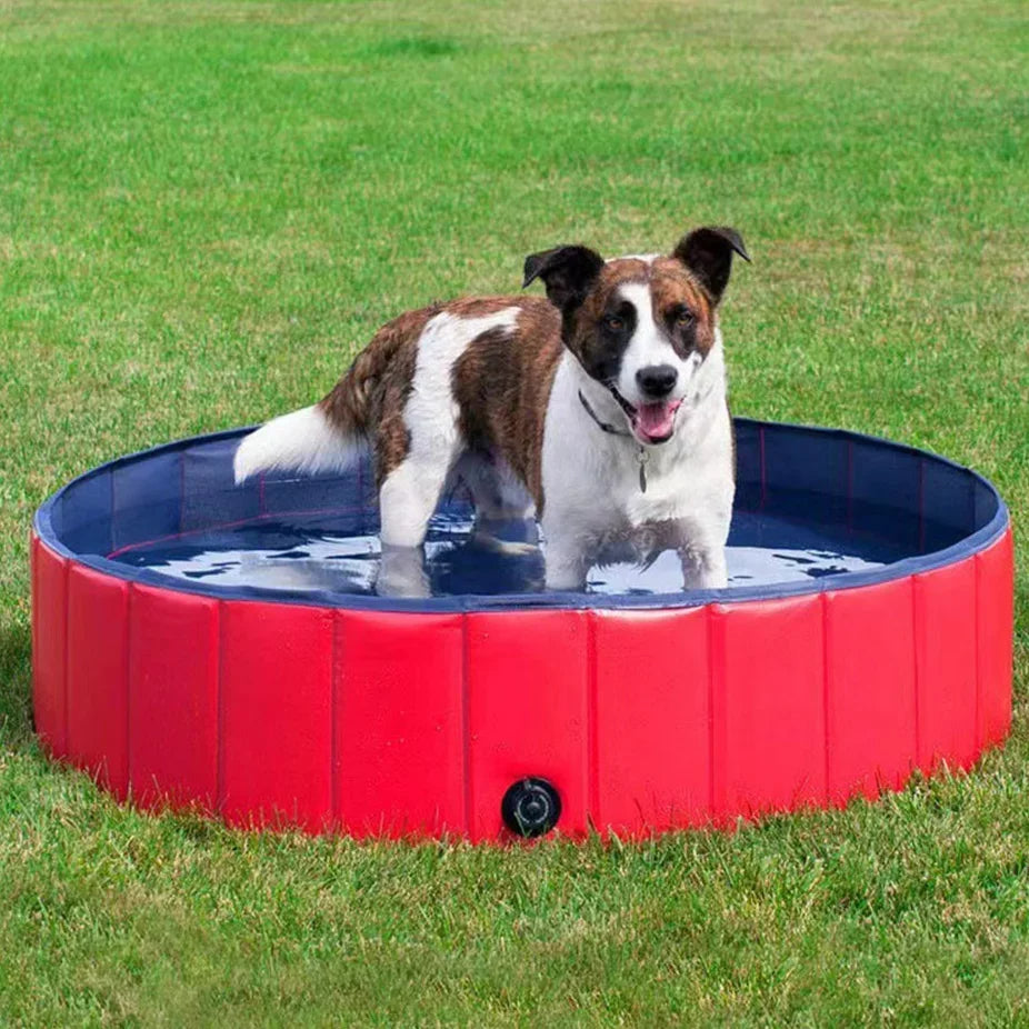 Foldable Dog Pool - Portable Pet Bathing and Play Pool