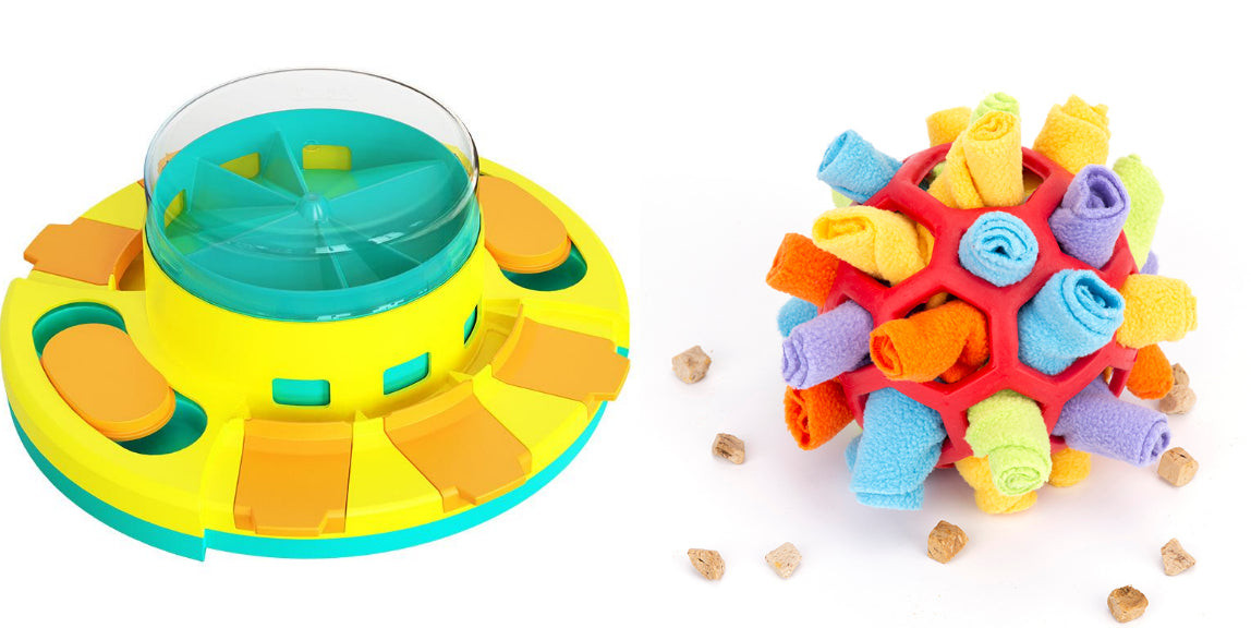 Interactive Brain Game Puzzle Feeder