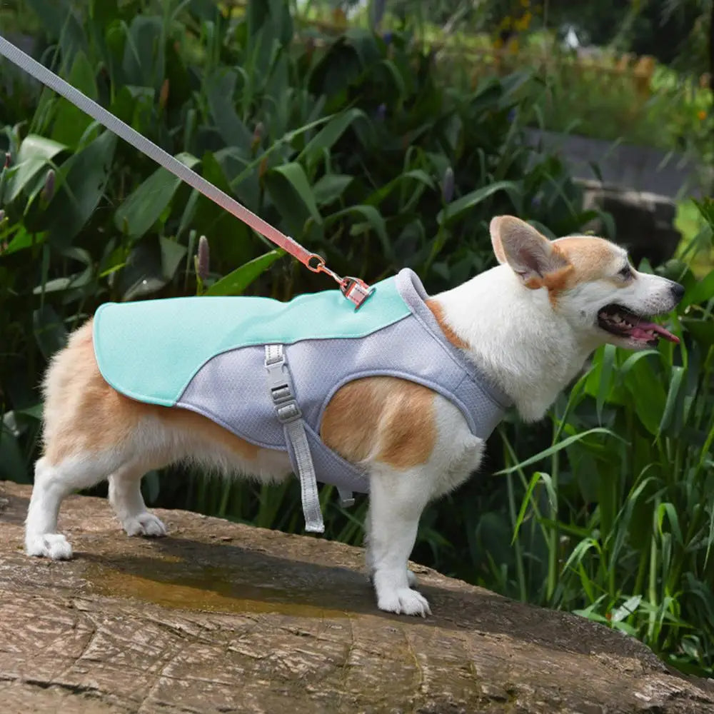 Dog Cooling Vest for Hot Weather Activities