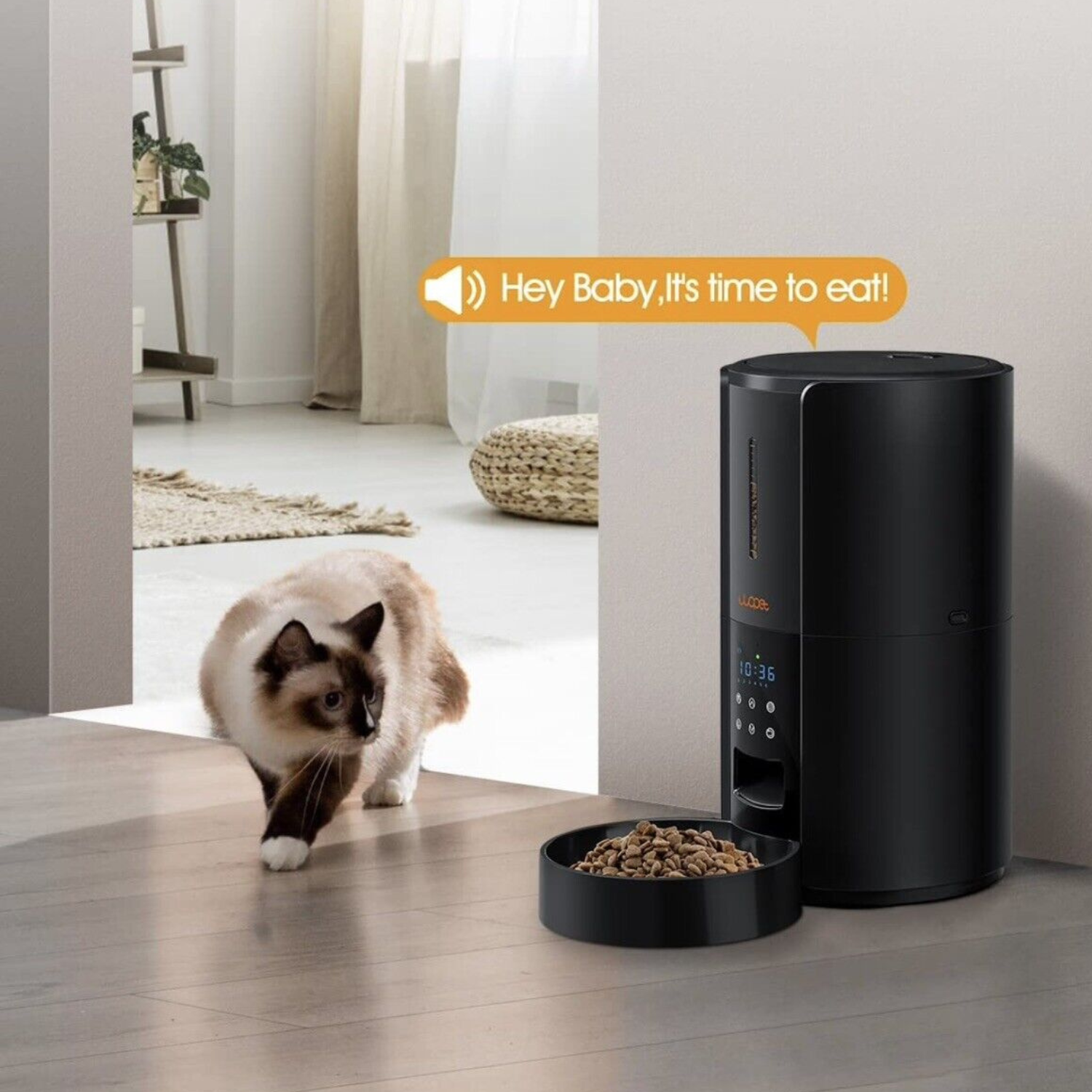 Large Automatic Dog and Cat Food Feeder Dispenser