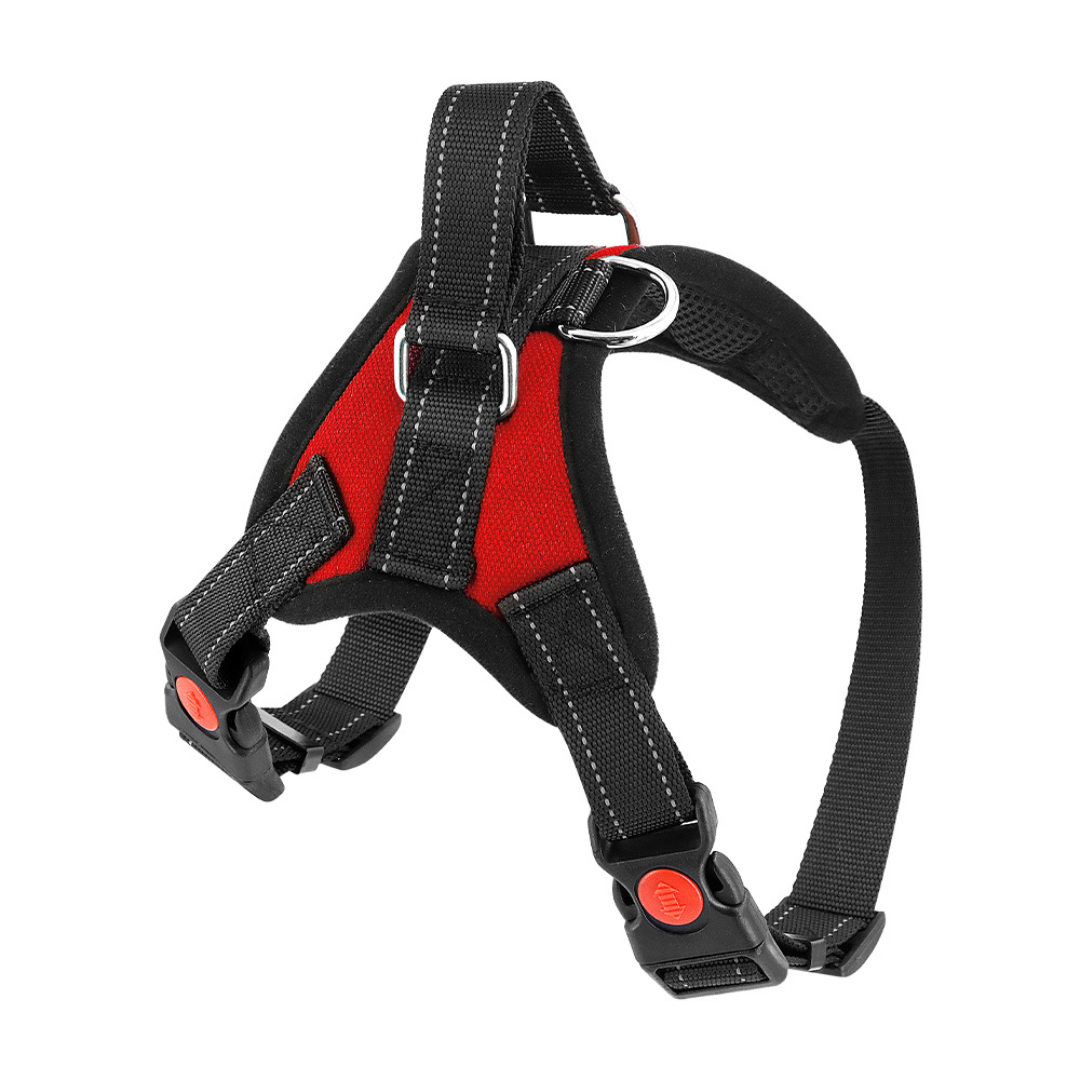 No-Choke Adjustable Dog Safety Harness