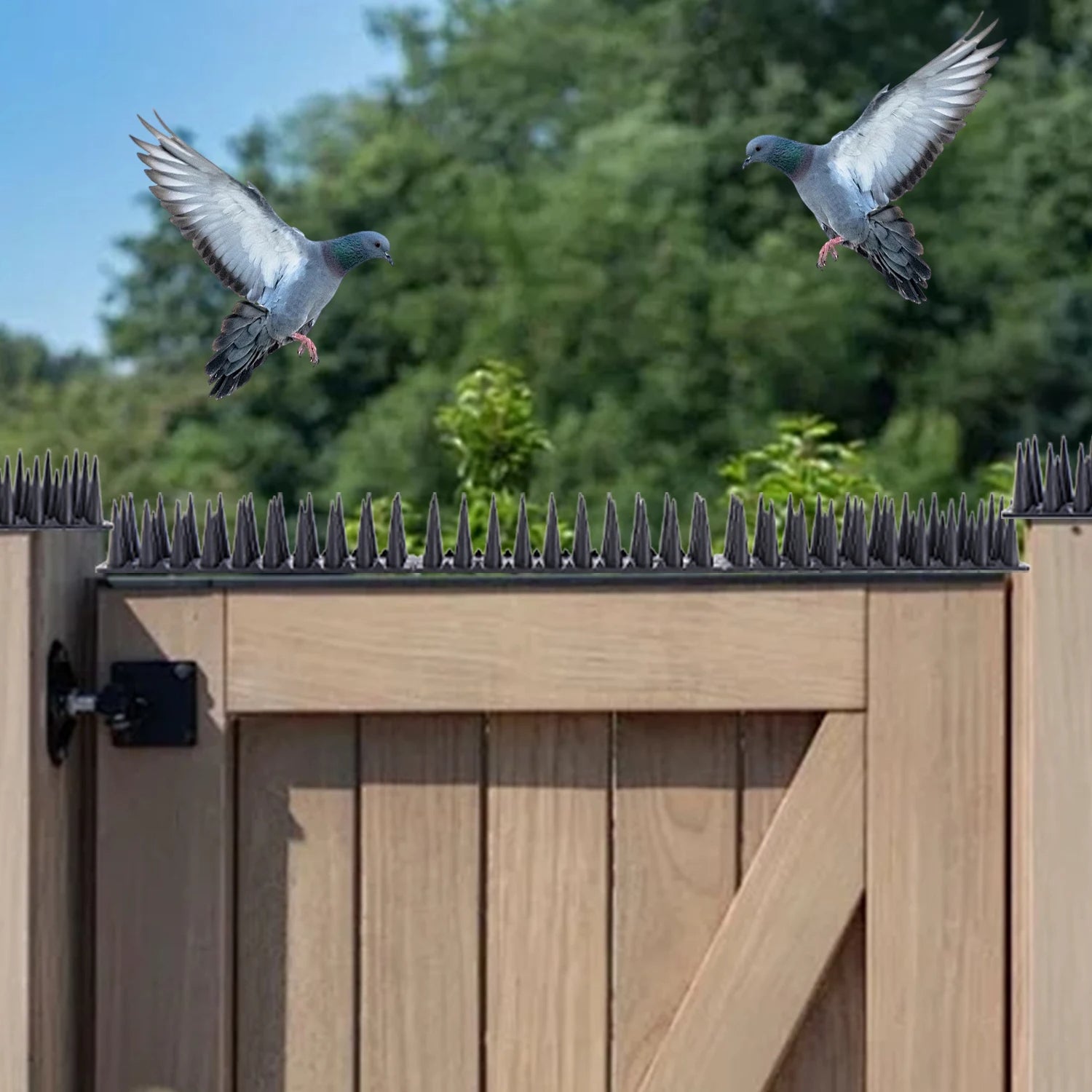 Plastic and Stainless Steel Bird Deterrent Control Spikes