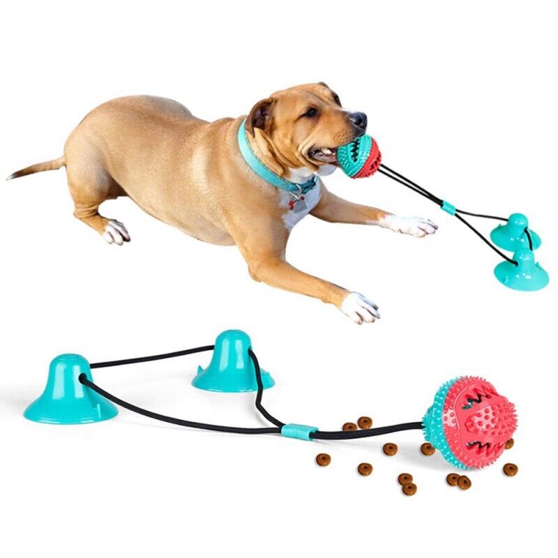 Suction Cup Dog Chew Toy for Interactive Play