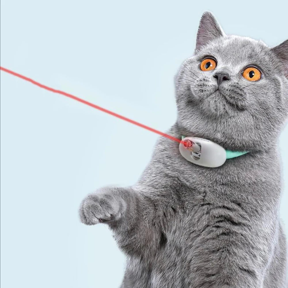 Interactive Laser Cat Collar with USB Rechargeable Battery