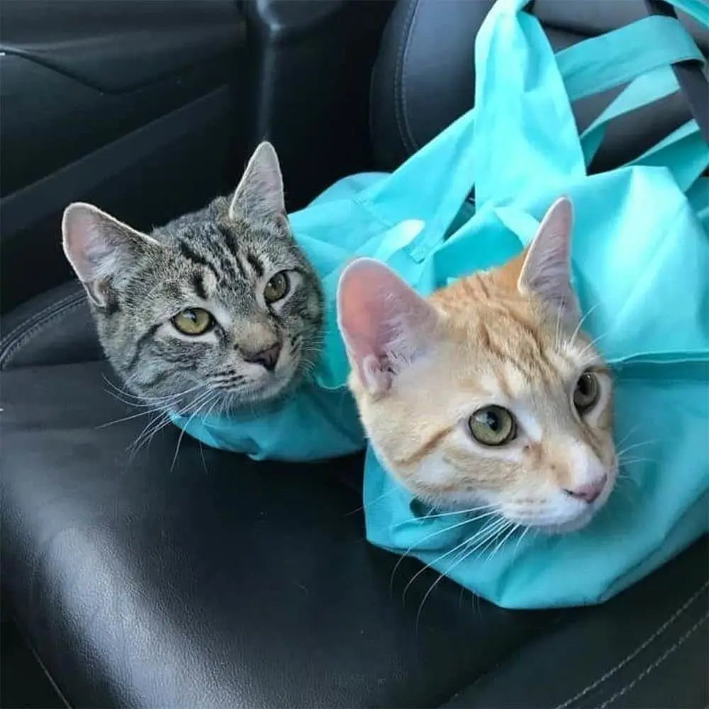 Foldable Anti-Scratch Travel Carrier Pouch for Cats