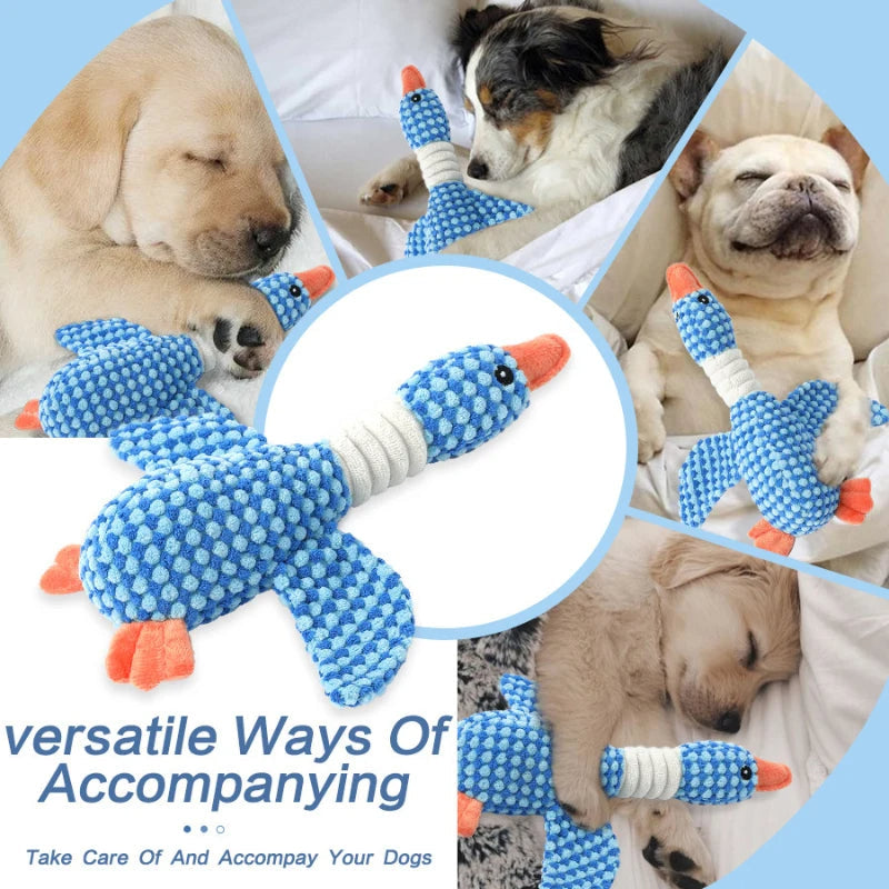 Plush Squeaky Dog Chew Toy for Play and Training
