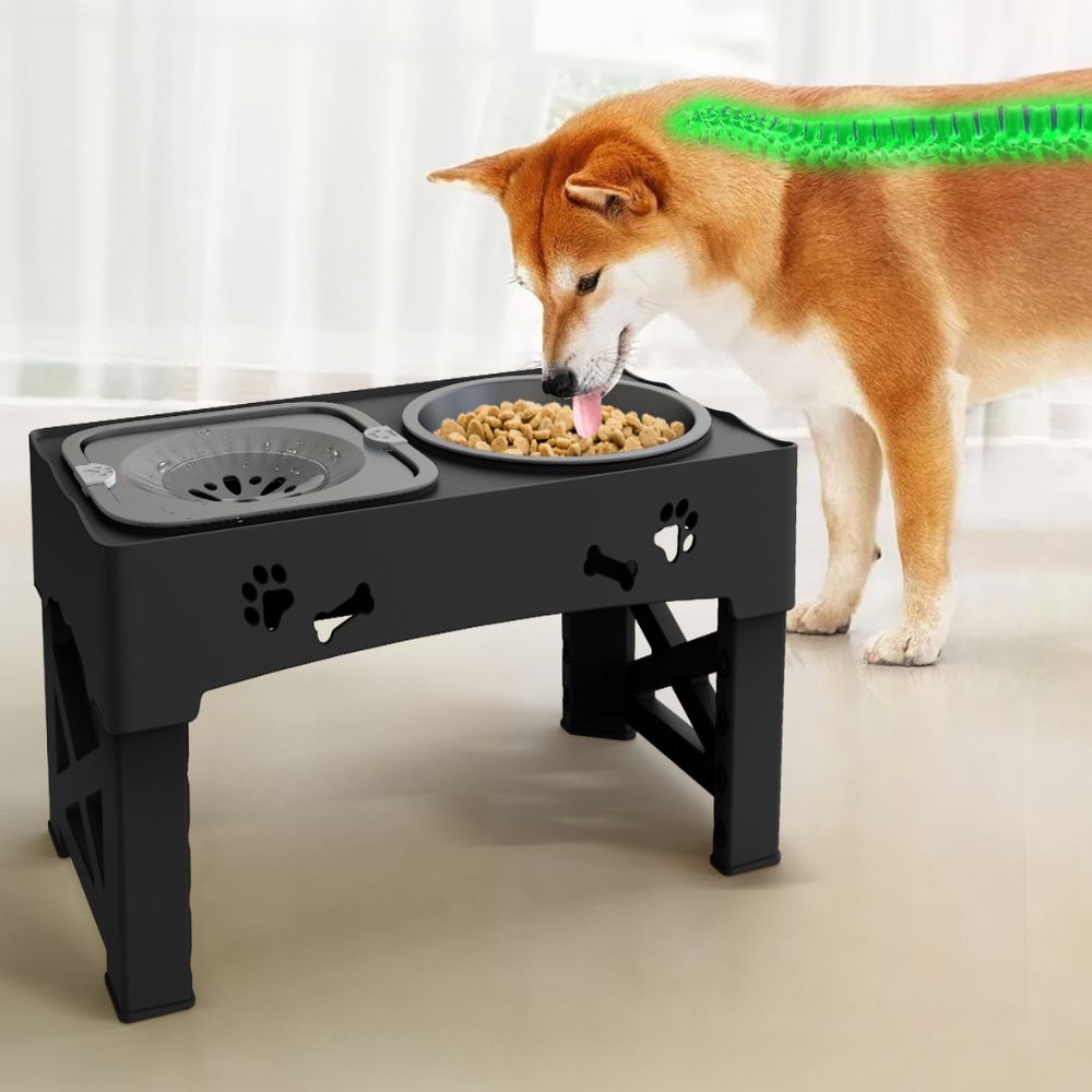 Adjustable Height Raised Slow Feeder Bowl for Dogs