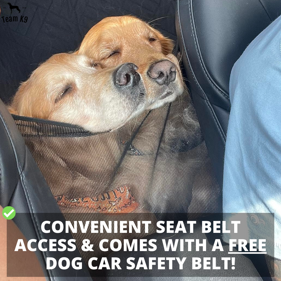 Waterproof Hammock Car Seat Cover for Dogs with Storage
