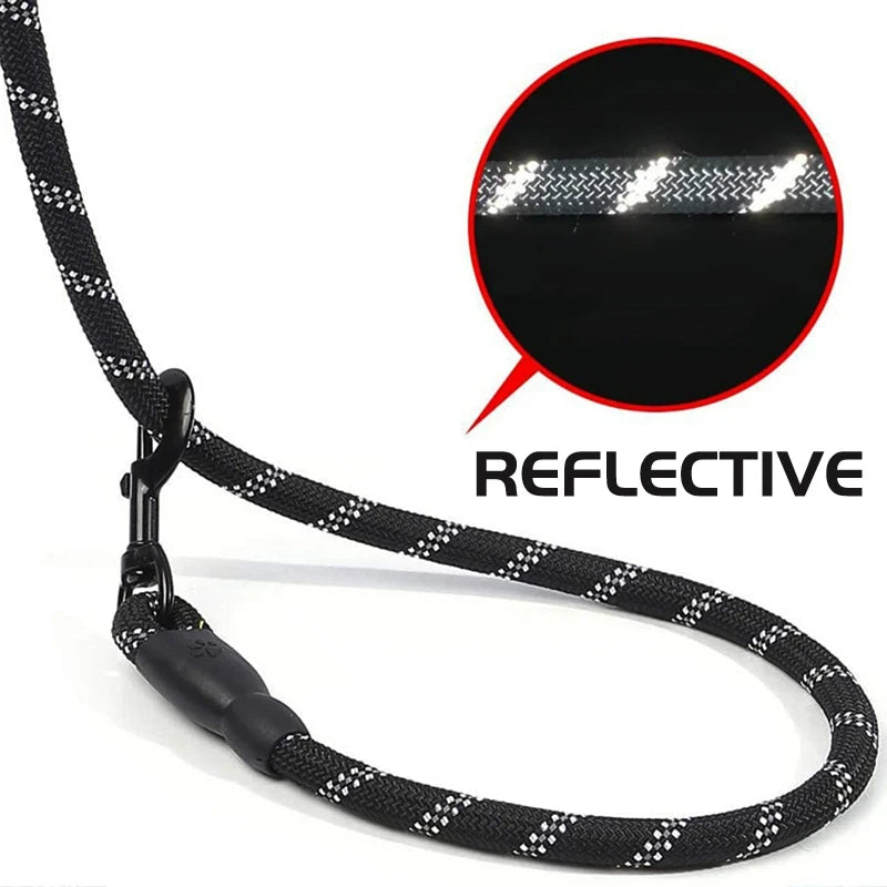 Reflective Dog Leash with Padded Comfort Handle