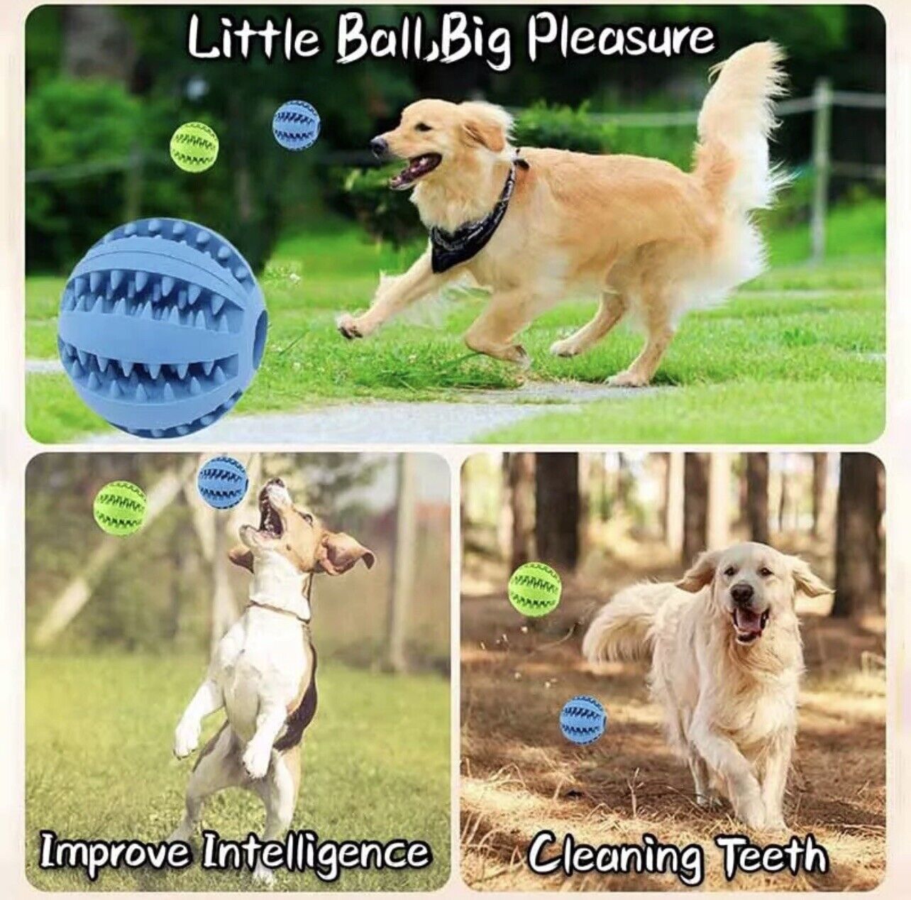 Interactive Rubber Treat Dispensing Ball