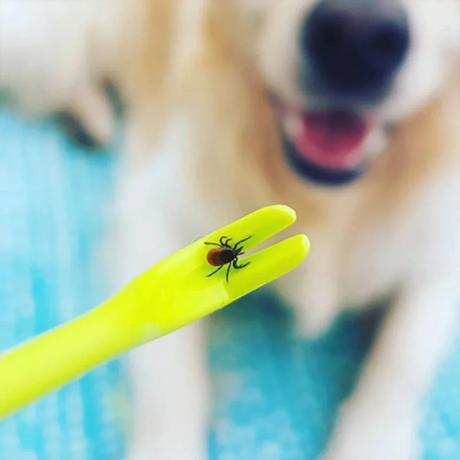 Tick Removal Tool Set for Dogs, Pets, and Humans