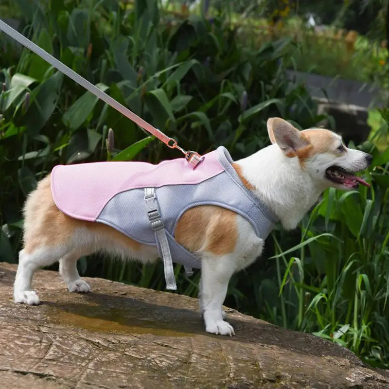 Dog Cooling Vest for Hot Weather Activities