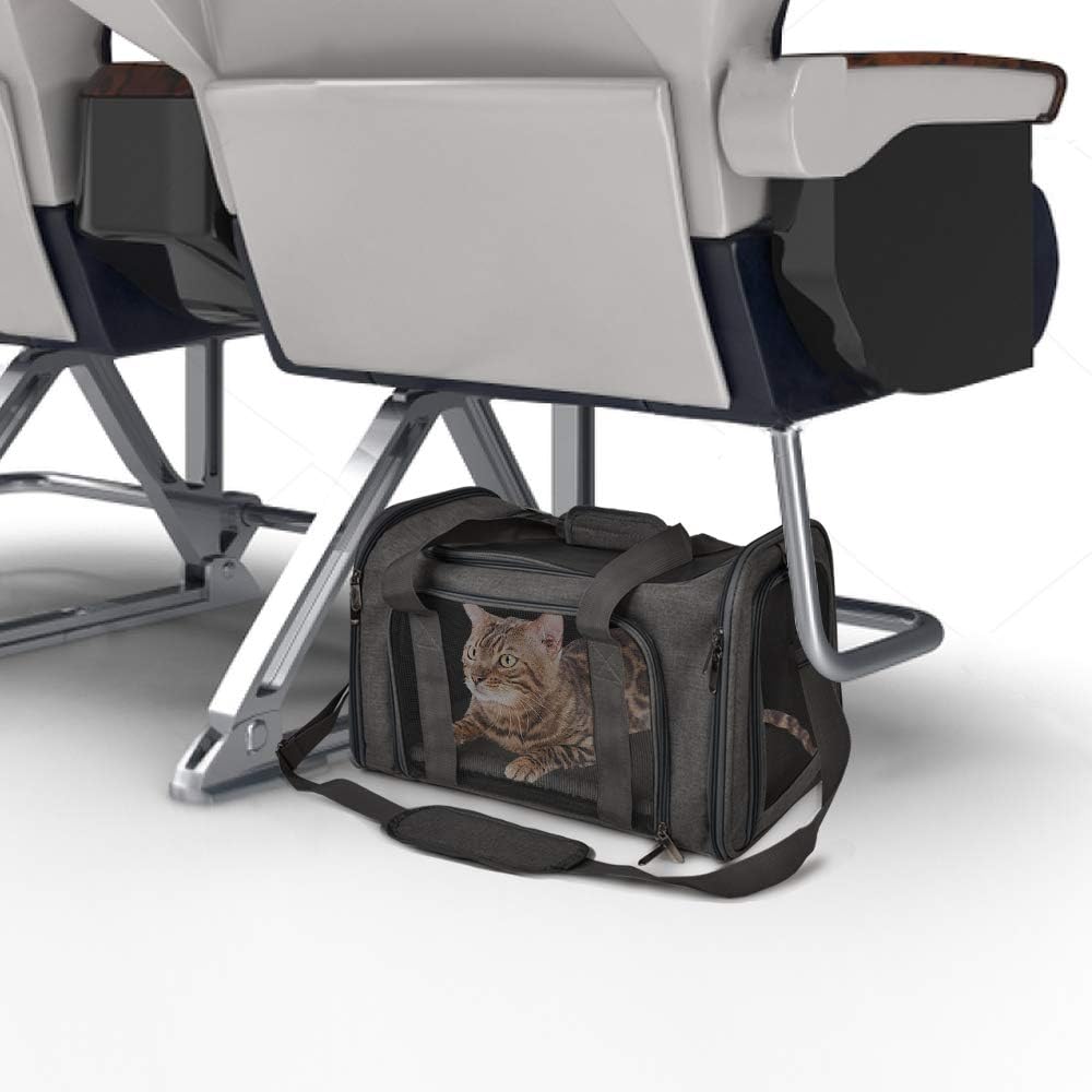 Airline-Approved Pet Carrier Bag for Cats and Dogs Up to 15 Lbs