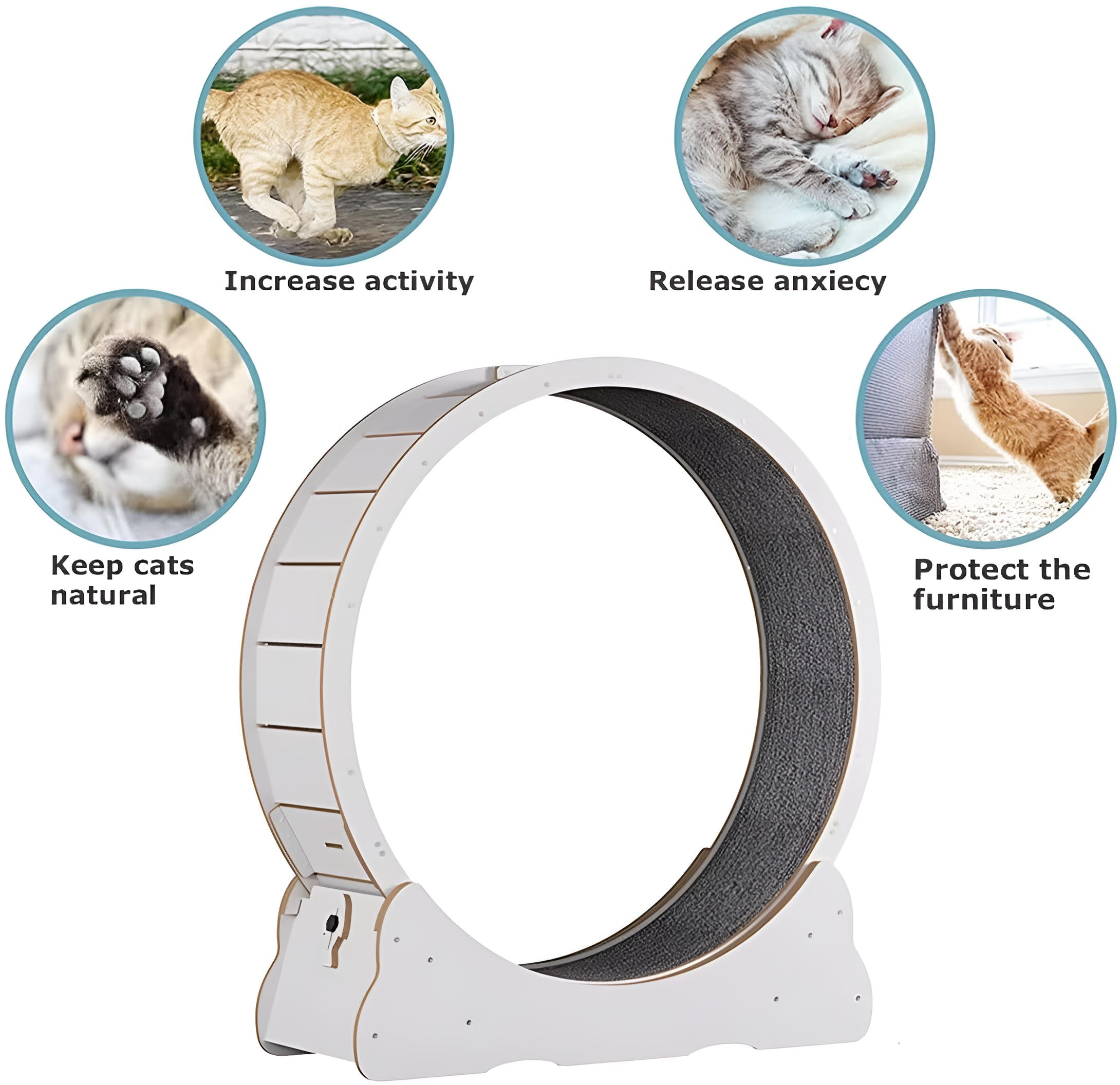 Quiet Indoor Cat Exercise Wheel with Cushioned Track
