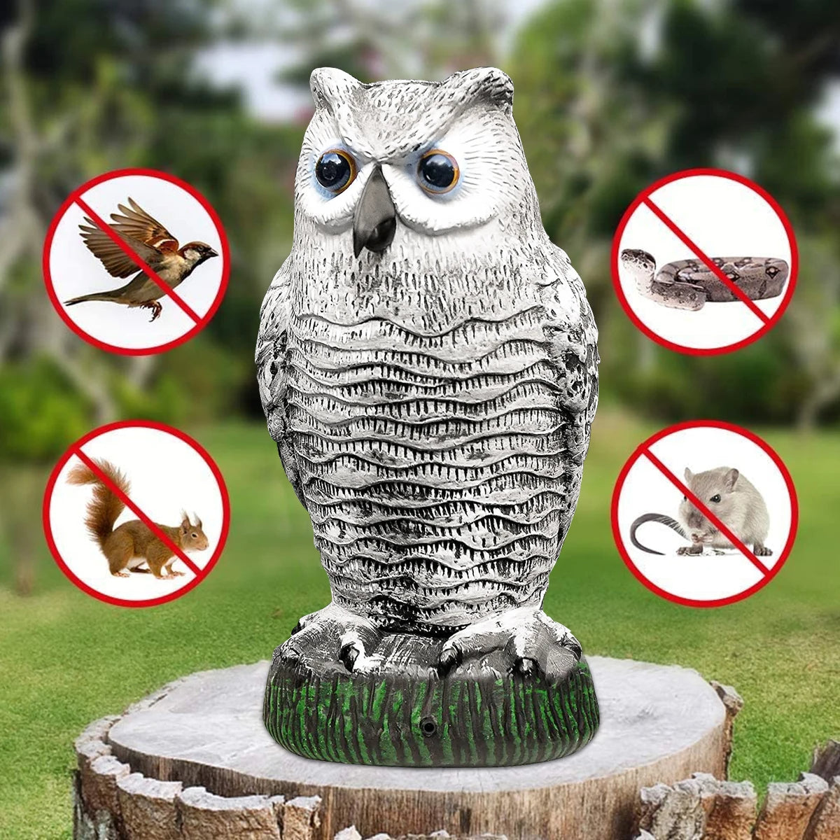 Realistic Owl Decoy Bird and Pest Repeller