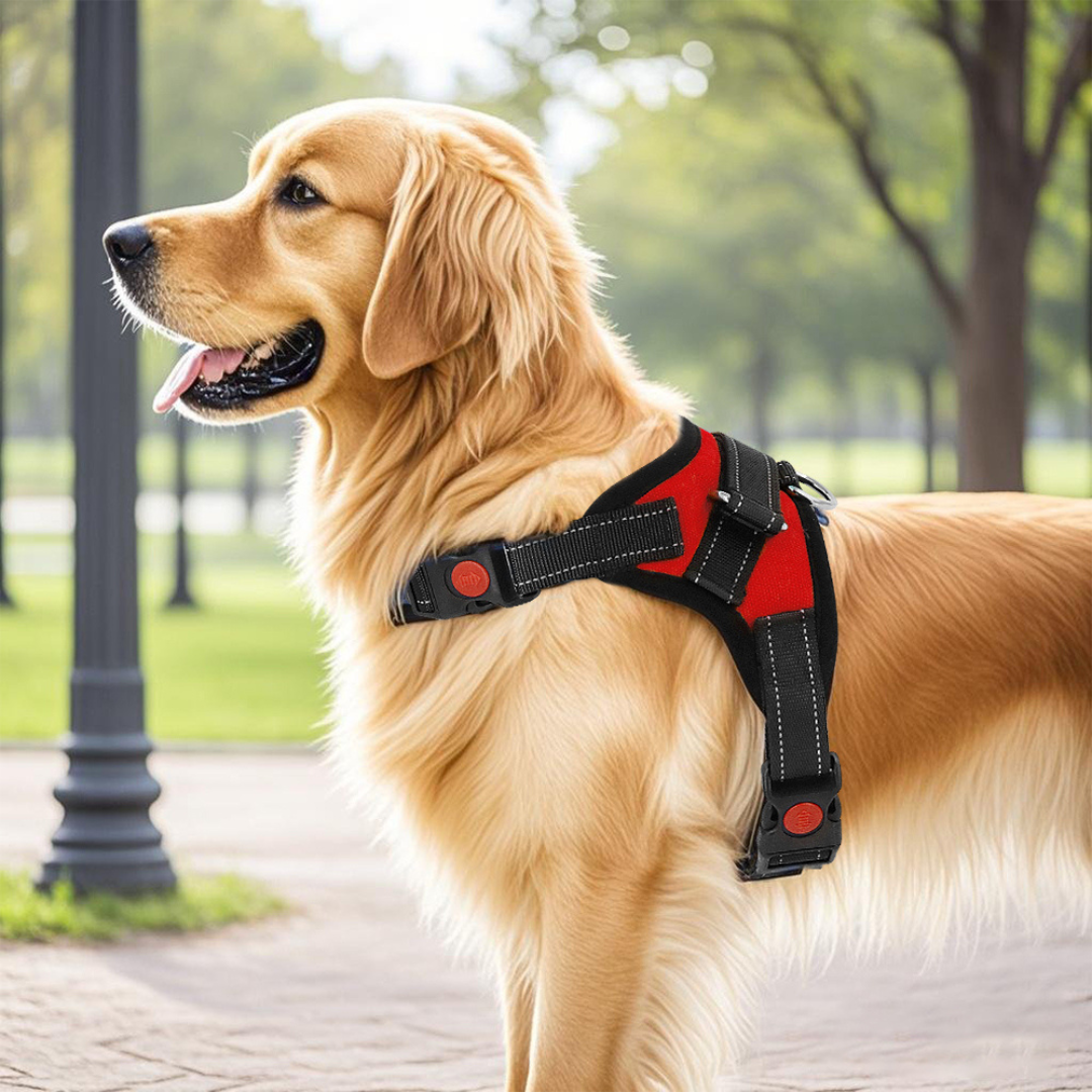 No-Choke Adjustable Dog Safety Harness
