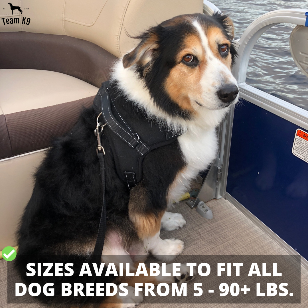 No-Choke Adjustable Dog Safety Harness