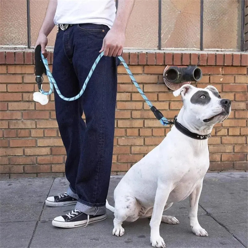Reflective Dog Leash with Padded Comfort Handle