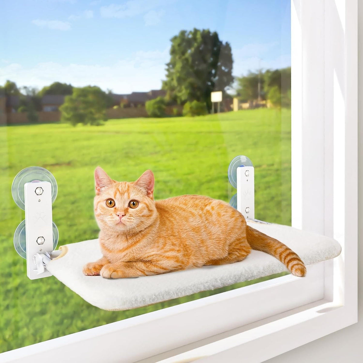 Suction Cup Cat Window Hammock Perch