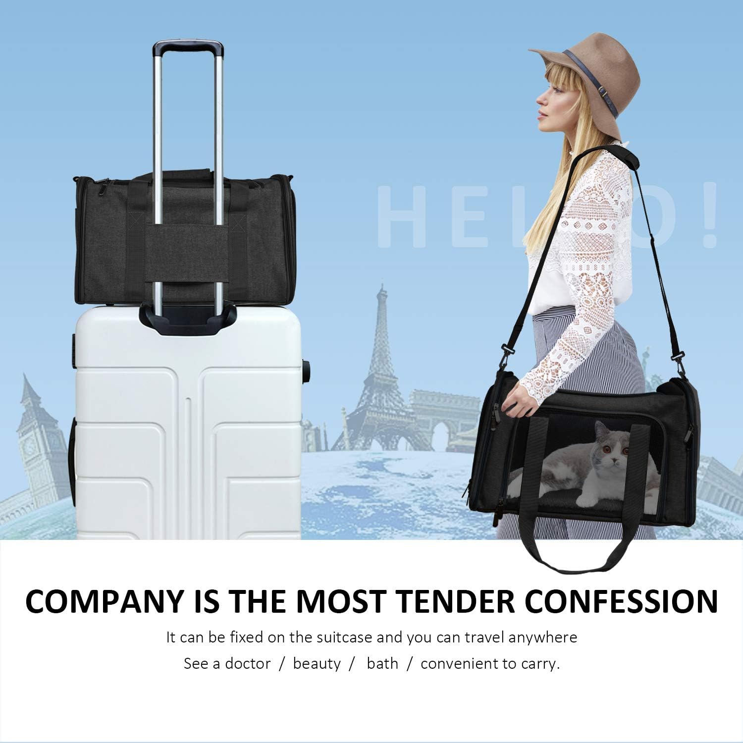Airline-Approved Pet Carrier Bag for Cats and Dogs Up to 15 Lbs
