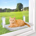 Suction Cup Cat Window Hammock Perch
