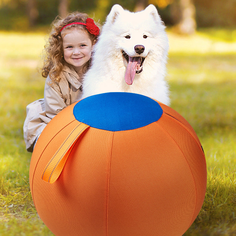Inflatable Dog Herding Ball - Durable Outdoor Push & Chase Toy