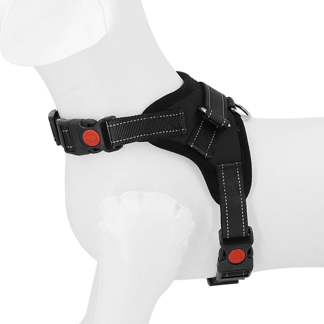 No-Choke Adjustable Dog Safety Harness