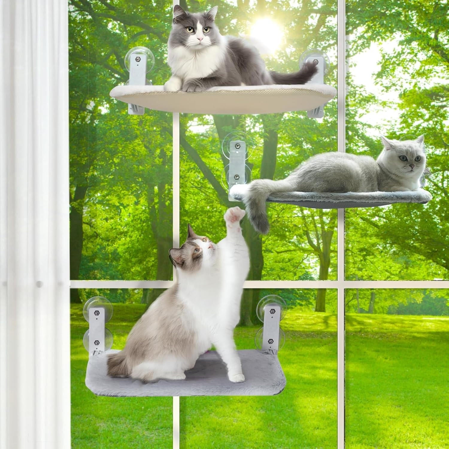 Suction Cup Cat Window Hammock Perch