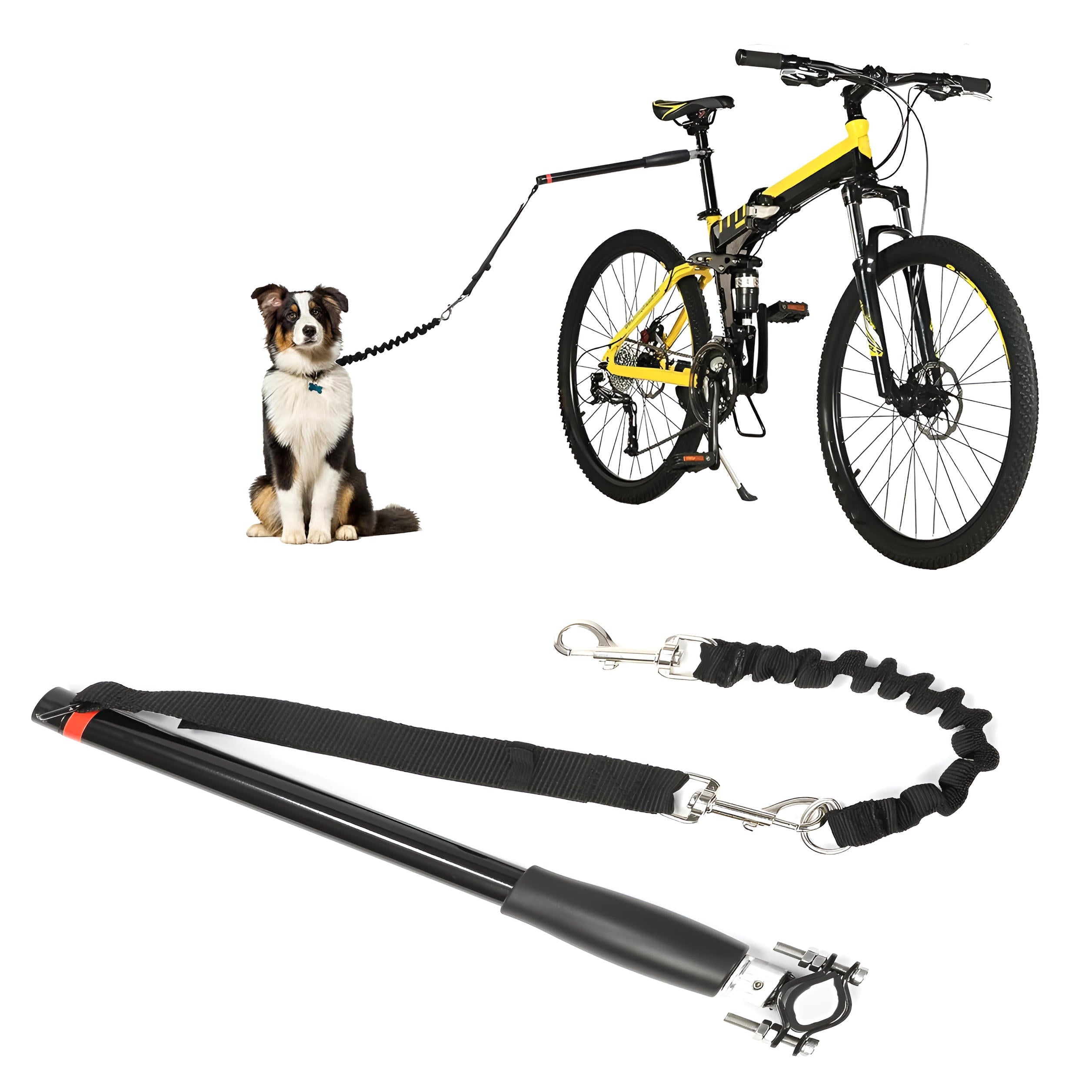 Hands-Free Bike Tow Leash for Dogs