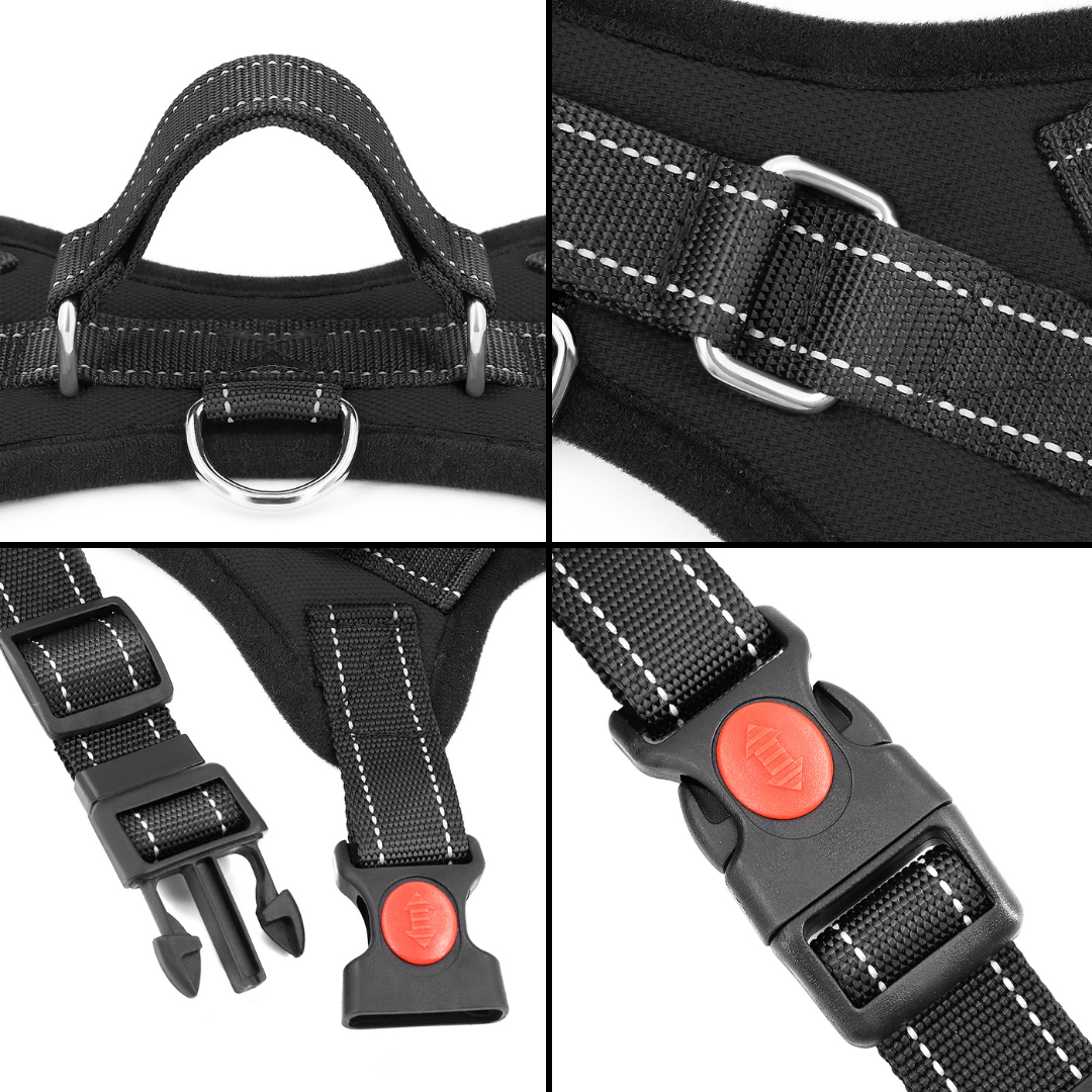 No-Choke Adjustable Dog Safety Harness