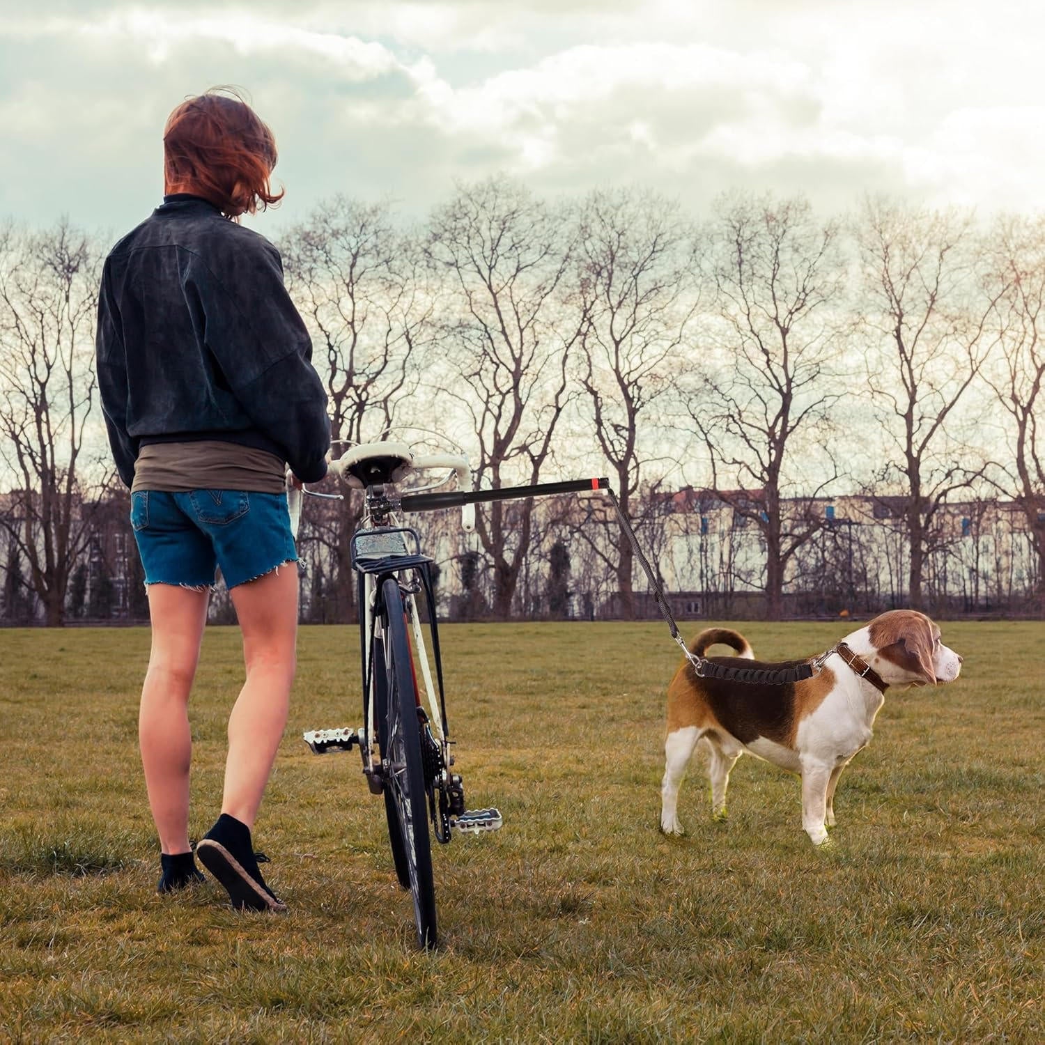 Hands-Free Bike Tow Leash for Dogs