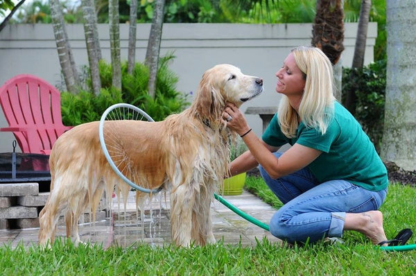 Puppy Rinse Delight Circle