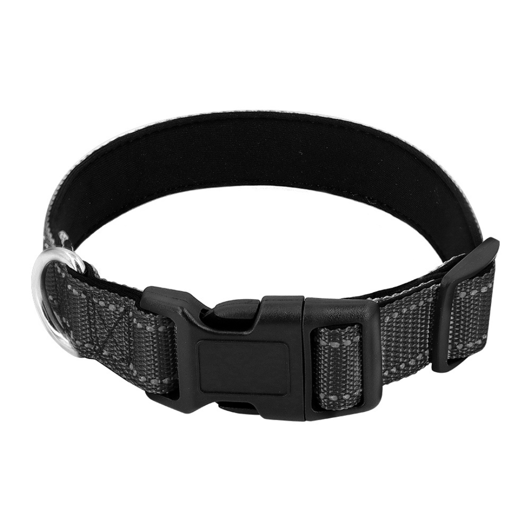 Reflective Dog Collar with Quick-Lock Buckle for Night Walks