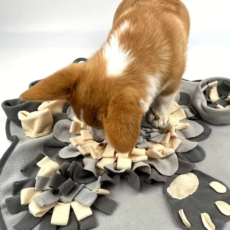 Interactive Snuffle Mat