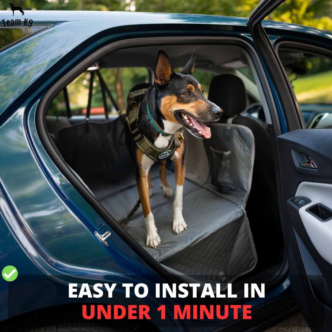 Waterproof Hammock Car Seat Cover for Dogs with Storage