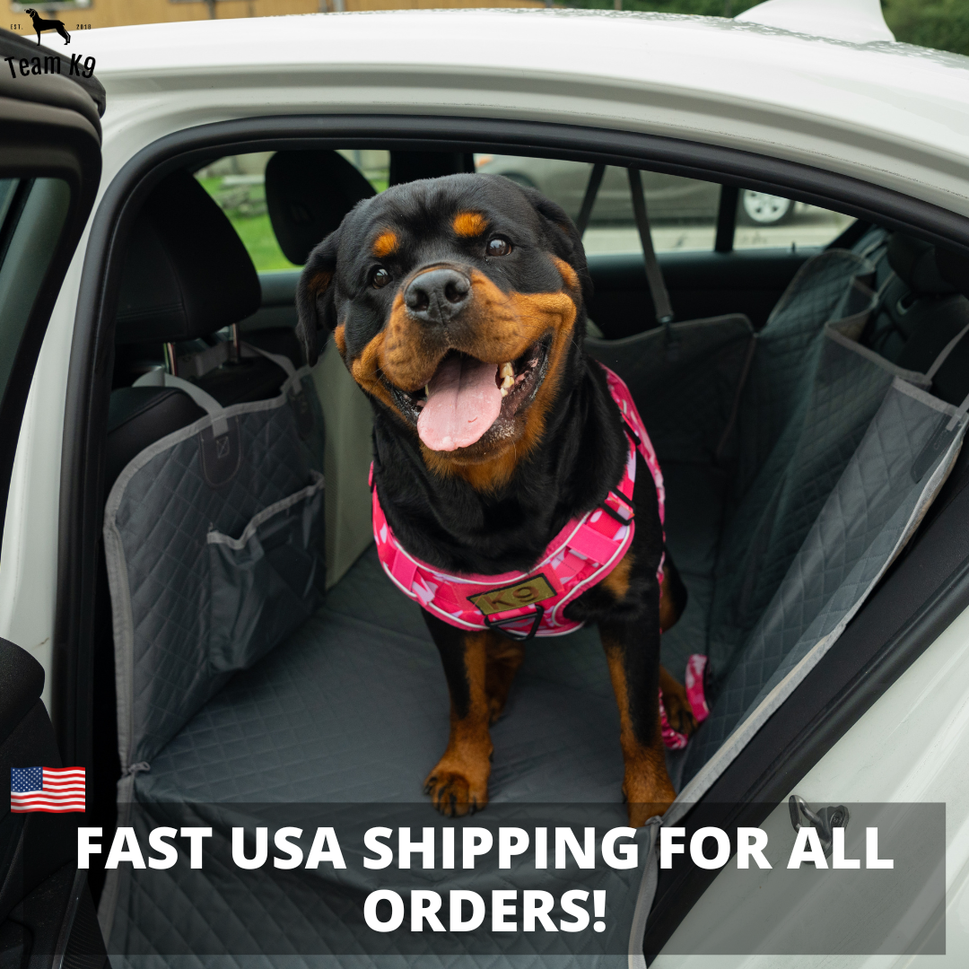 Waterproof Hammock Car Seat Cover for Dogs with Storage