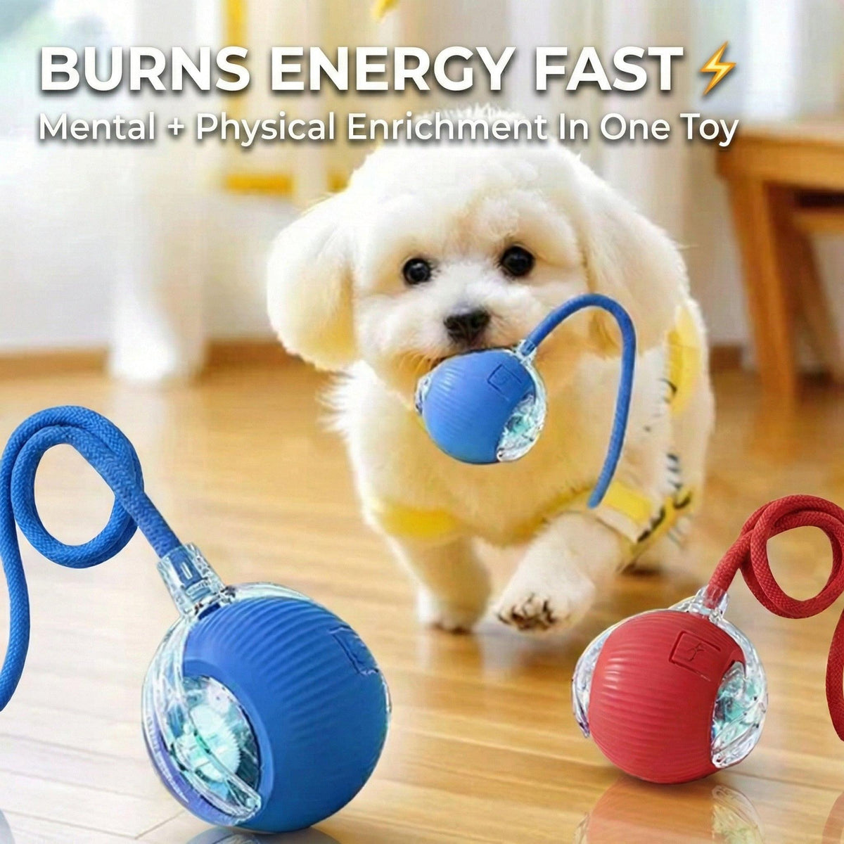 Interactive Chase Ball for Anxious & High-Energy Dogs