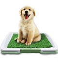 Indoor Dog Potty Tray with Artificial Turf