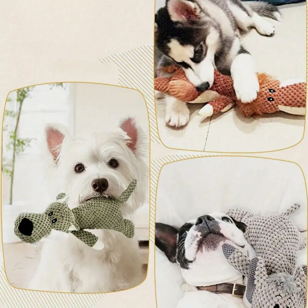 Durable Chew Toy for Dogs