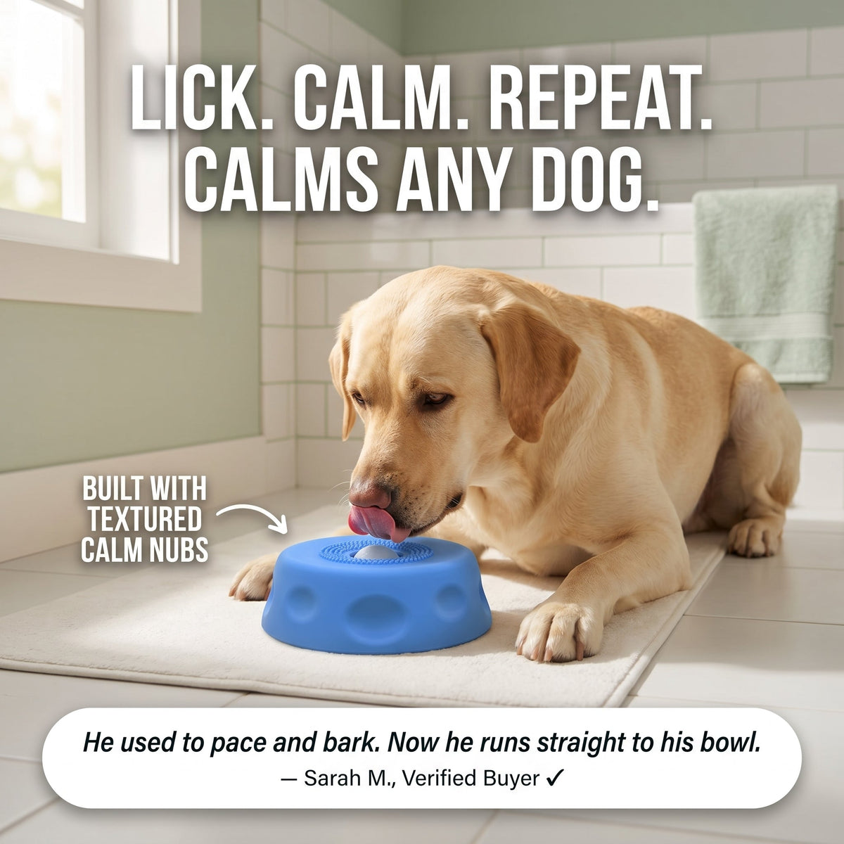 Dog Enrichment Lick Bowl