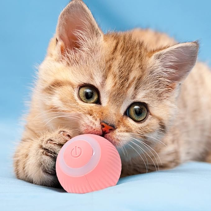Interactive LED Play Ball for Cats