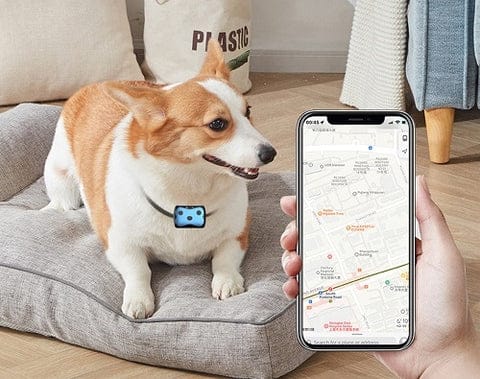 GPS Tracker Collar for Dogs - Real-Time Location Monitoring