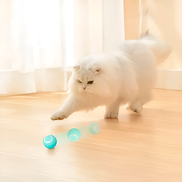 Interactive Self-Rolling Pet Ball for Dogs and Cats
