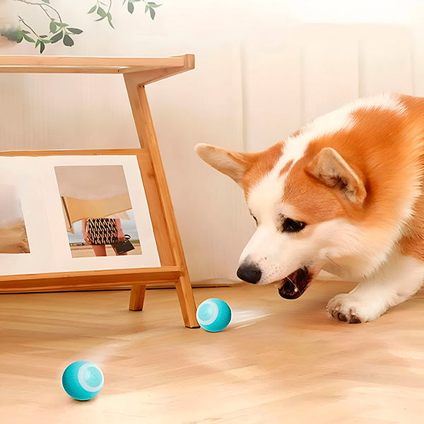 Interactive Self-Rolling Pet Ball for Dogs and Cats