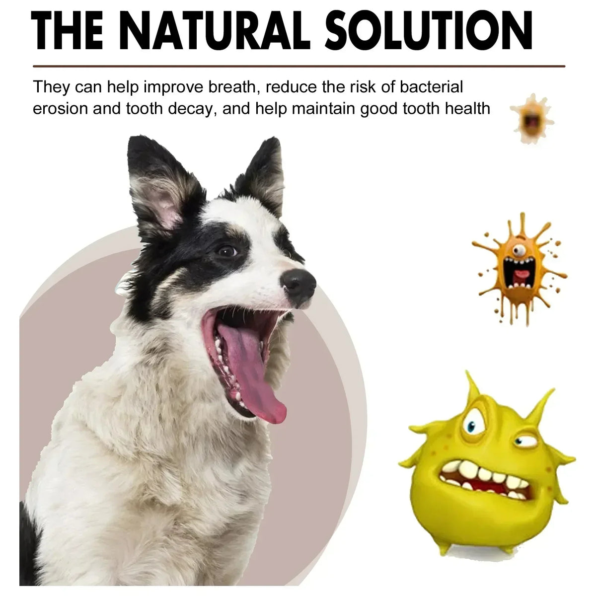 Pet Dental Spray for Dogs and Cats - Fresh Breath Oral Care