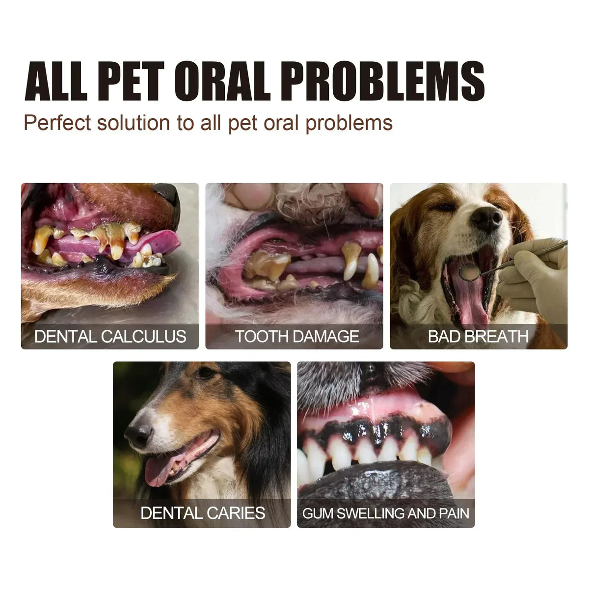 Pet Dental Spray for Dogs and Cats - Fresh Breath Oral Care