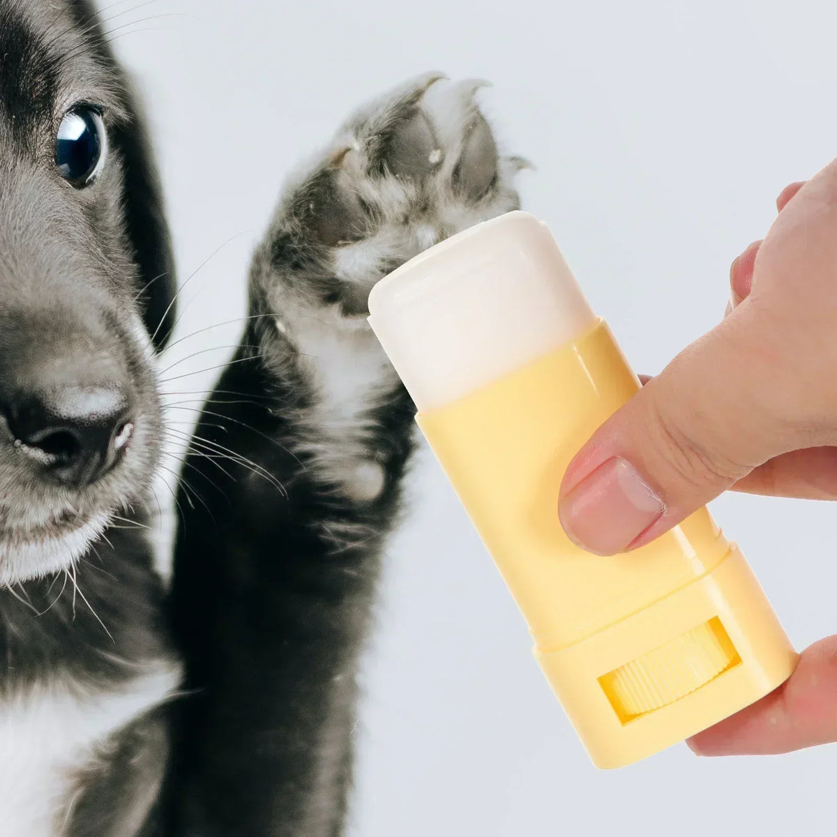 Paw Balm for Dogs and Cats - Moisturizer for Cracked Paws