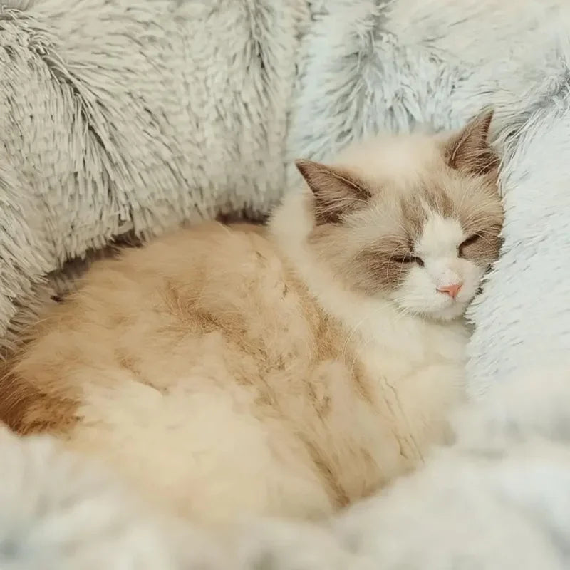 Plush Donut Cat Bed with Tunnel