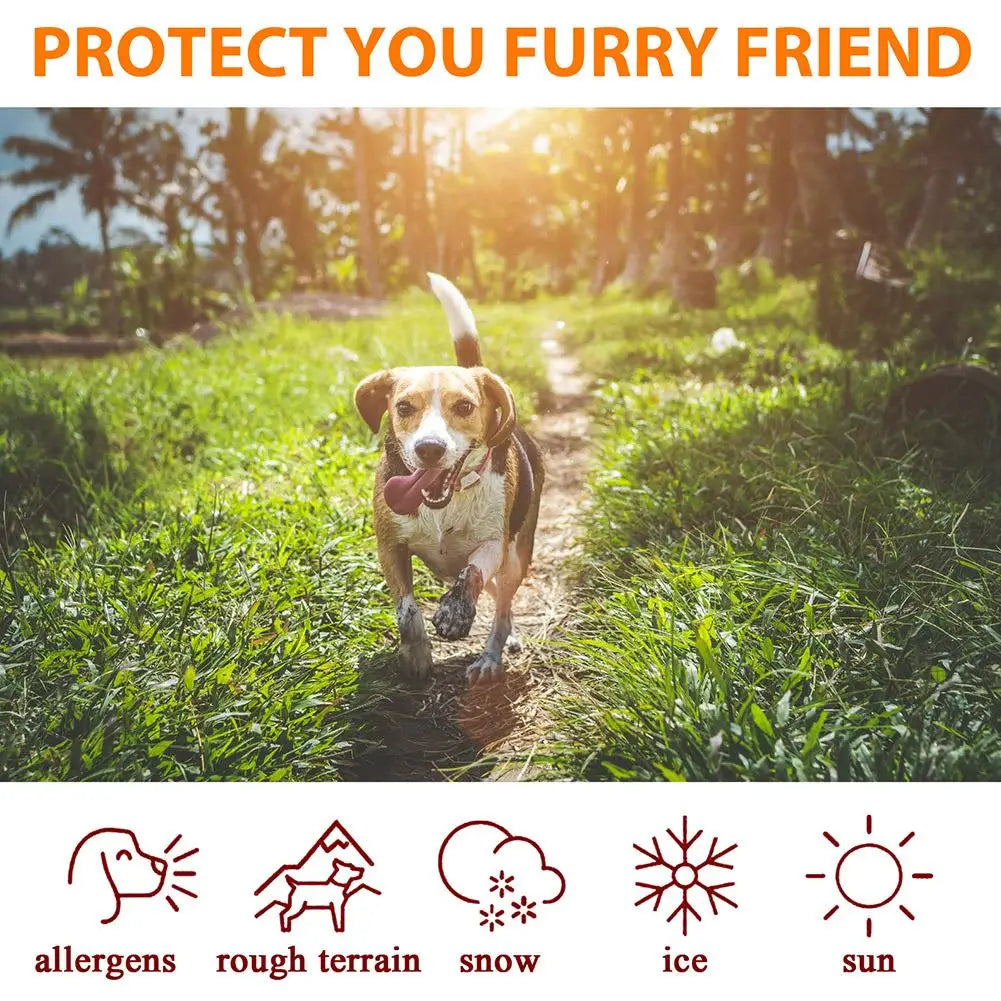 Moisturizing Paw Balm for Dogs and Cats - Foot Care Cream
